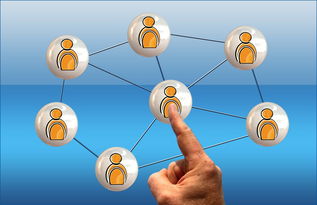 九游官网入口活动-2024年国际乒联混合团体世界杯：德国队顽强拼搏，2024世乒赛